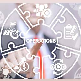 Business Analysis and Operations Course Header